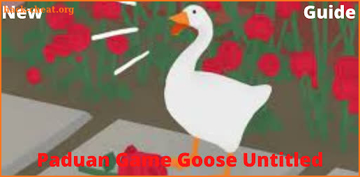 Panduan Game Goose Untitled screenshot