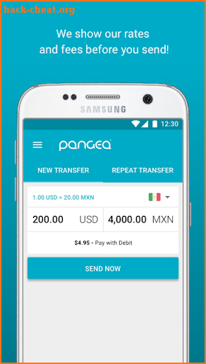 Pangea Money Transfer screenshot