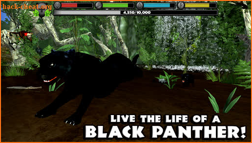 Panther Simulator screenshot