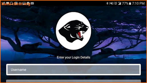 Panther TV screenshot