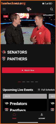 Panthers Plus screenshot