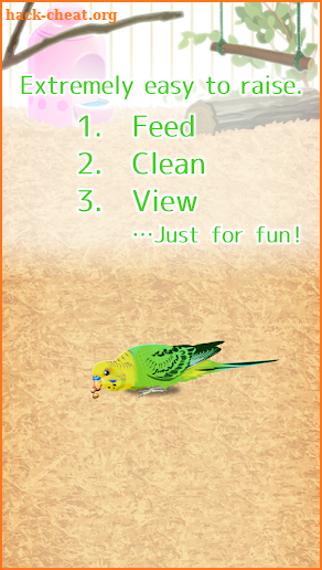 Parakeet Pet screenshot