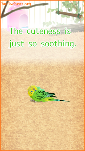 Parakeet Pet screenshot