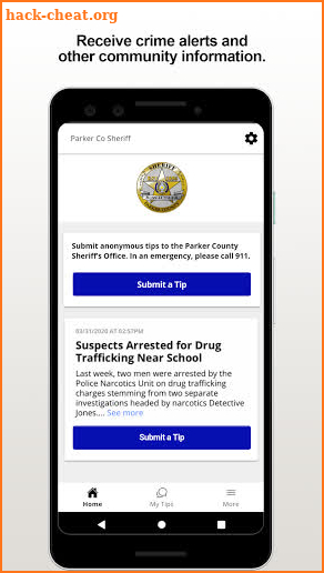 Parker County Sheriff's Office screenshot