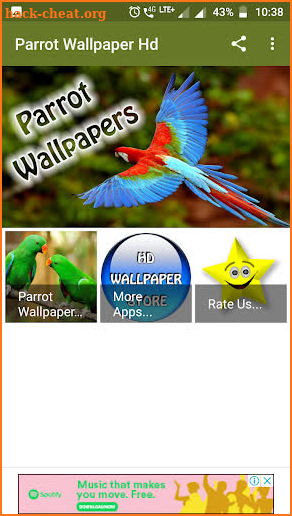 Parrot Wallpaper Hd screenshot