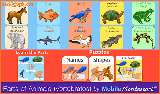 Parts of Animals (Vertebrates) screenshot