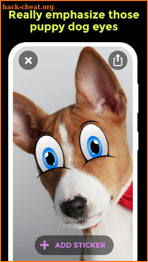 Paww Snap Pet Pic Sticker App screenshot