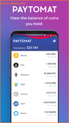 Paytomat Wallet screenshot