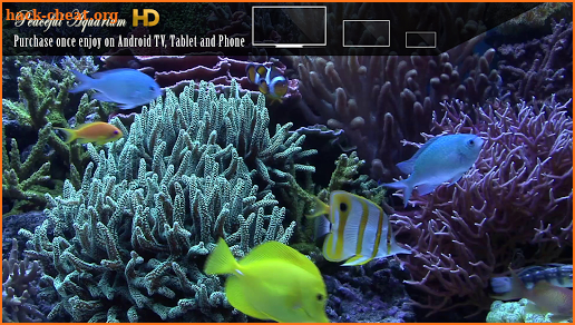 Peaceful Aquarium HD screenshot