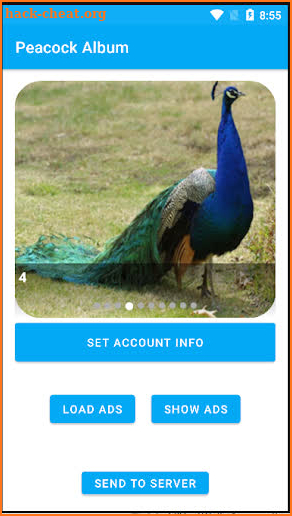Peacock Album screenshot