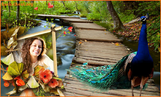 Peacock & Nature Photo Frames screenshot