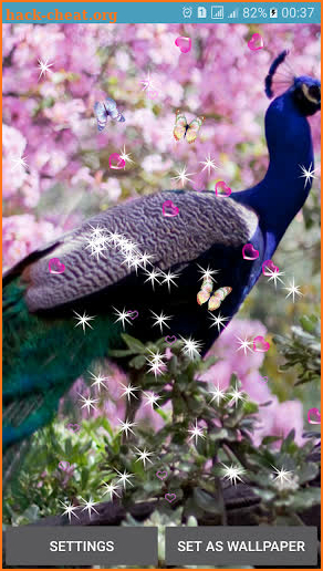 Peacocks Live Wallpapers screenshot