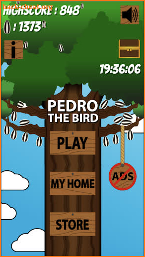 Pedro the bird screenshot
