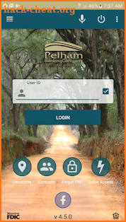 Pelham Bank screenshot