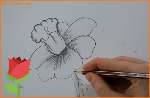 ✏️🌷How to draw a rose and flowers step by step screenshot