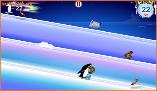 Penguin & Bear Full screenshot