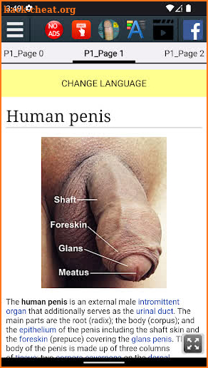 Penis Anatomy screenshot