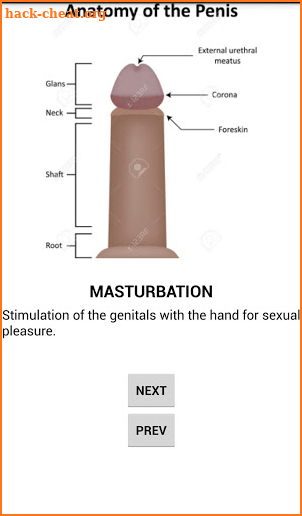 Penis Growth Guide screenshot