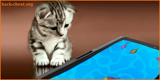 Peppy Cat fish game for cats screenshot
