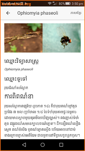 Pest ID screenshot