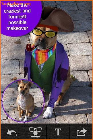 Pet Photo Editor - Funny & Live Color Effect Maker screenshot