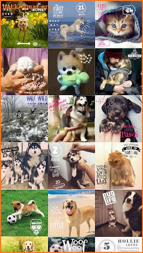 Pet Pictures - Photo Editor - Pet Face Wallpapers screenshot
