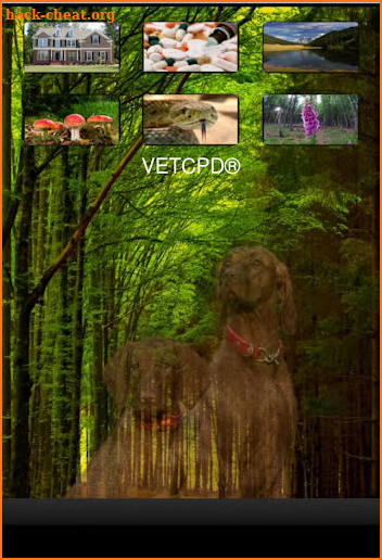 Pet Poison App VETCPD screenshot