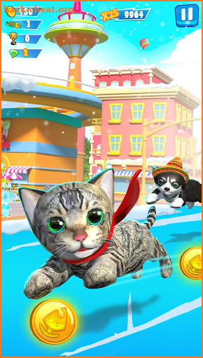 Pet Run - Cat Runner Game screenshot