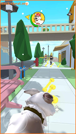 Pet Saga 3D screenshot