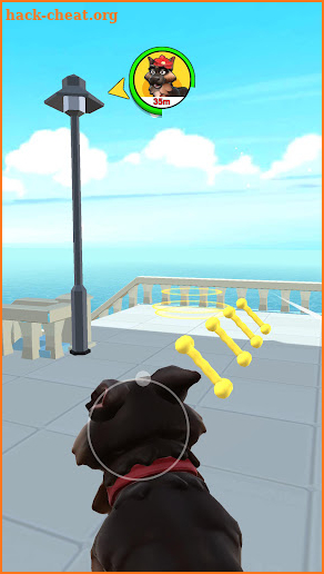 Pet Saga 3D screenshot