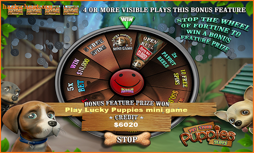 Pet Store Puppy Dog Vegas Casino Slots PAID screenshot