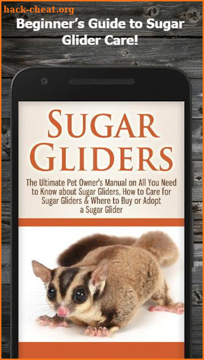 Pet Sugar Glider Care Guide screenshot