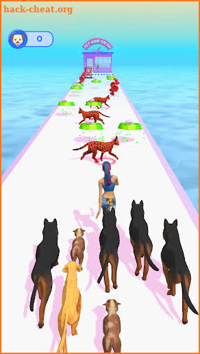 Pet Walker 3D screenshot
