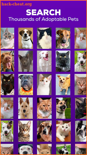Petfinder - Adopt a Pet screenshot