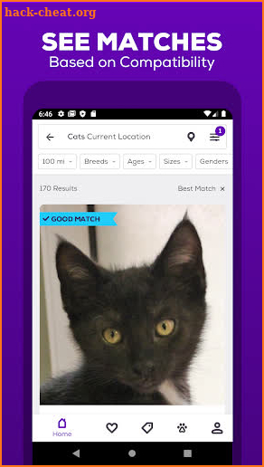Petfinder - Adopt a Pet screenshot