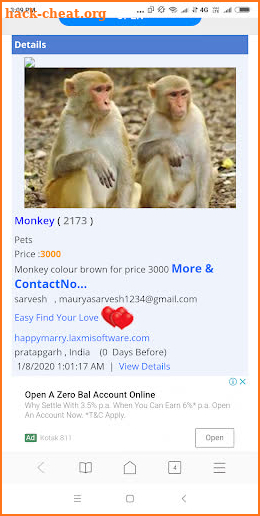 Pets For Sale – Animals, Puppies, Dogs For Sale screenshot