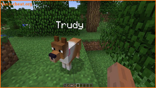 Pets Ideas Minecraft screenshot