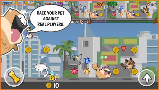 Pets Race - Fun Multiplayer PvP Online Racing Game screenshot