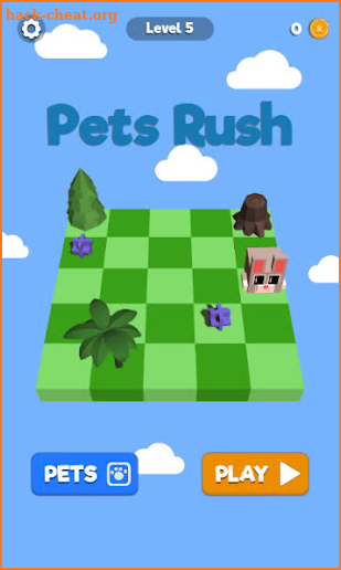 Pets Rush 3D screenshot