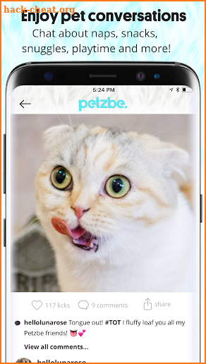 Petzbe screenshot