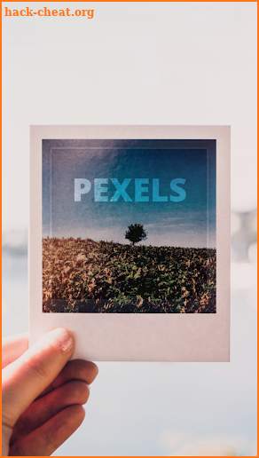 Pexels screenshot