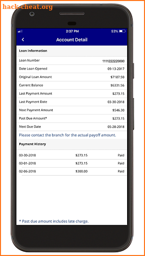 PFSAUTO by Professional Financial Services screenshot