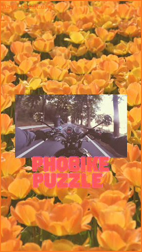 Photo bike puzzle screenshot