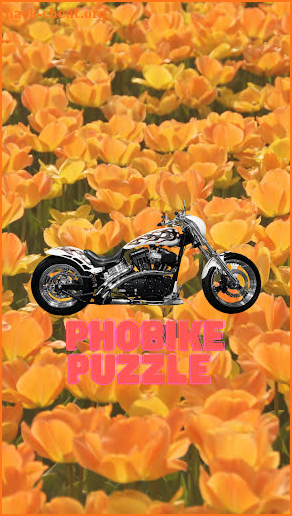 Photo bike puzzle screenshot