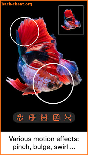 Photo Motion Effects & Animation Picture Maker screenshot