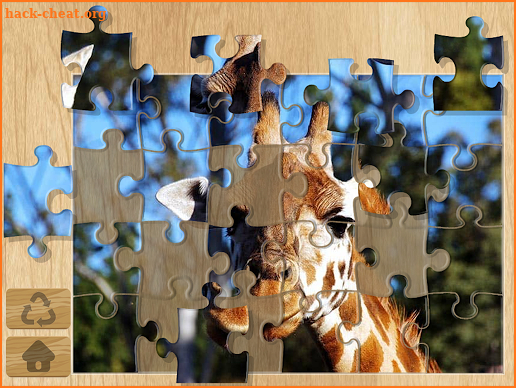 Photo Puzzles screenshot