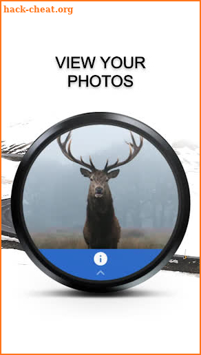 Photos - Wear OS Image Gallery screenshot