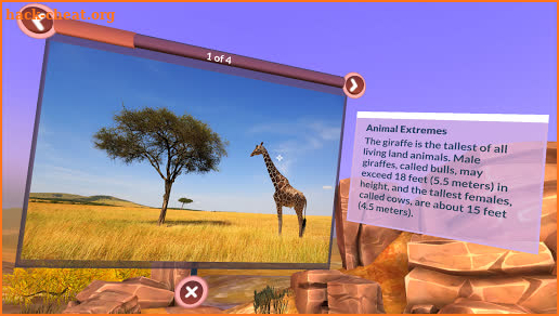 PI VR Animals screenshot