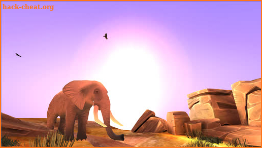 PI VR Animals screenshot