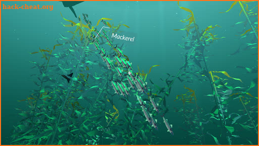 PI VR Oceans screenshot